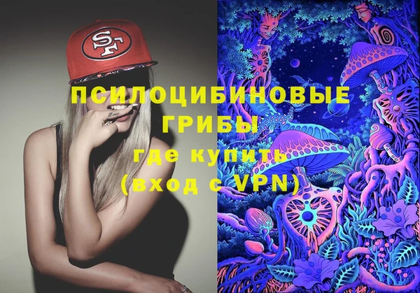 МДПВ Абдулино