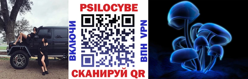 дарнет шоп  Катайск  Псилоцибиновые грибы Psilocybe 